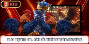 Đá Gà Trực Tiếp J88 - Sảnh Giải Trí Đỉnh Cao Hàng Đầu Châu Á