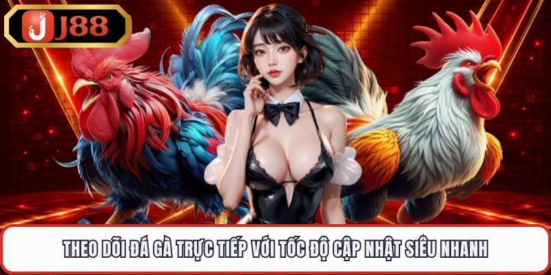 Theo dõi đá gà trực tiếp với tốc độ cập nhật siêu nhanh 